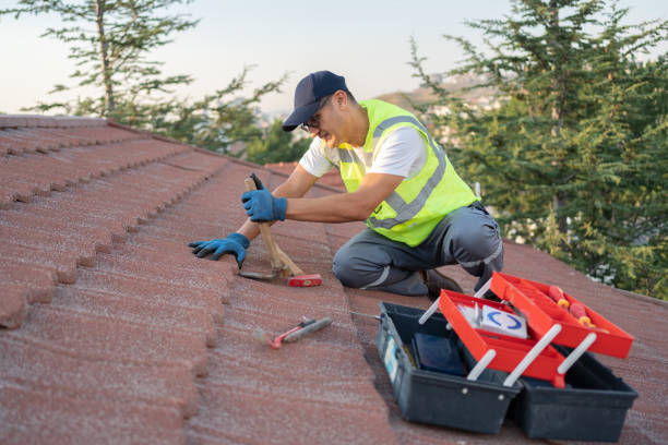 Best Storm Damage Roof Repair  in Britt, IA